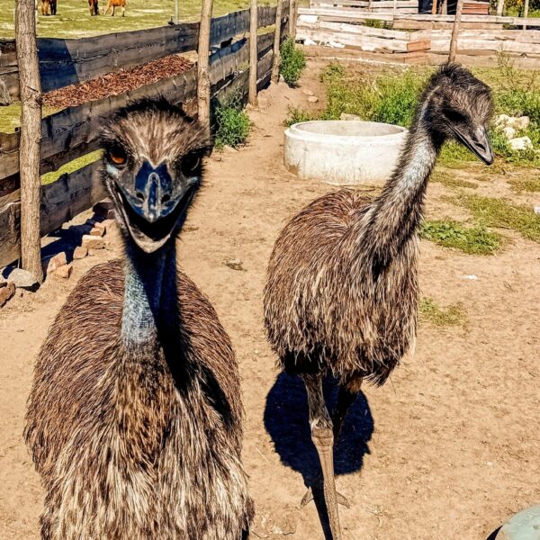 20240812_141216-EDIT